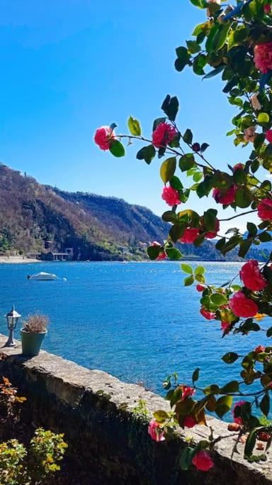 Casetta Lago Maggiore Maccagno Extérieur photo